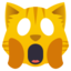 :scream_cat: