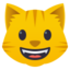 :smiley_cat: